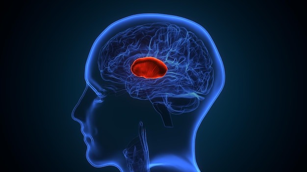 Brain and Spine Surgery in Navi Mumbai
